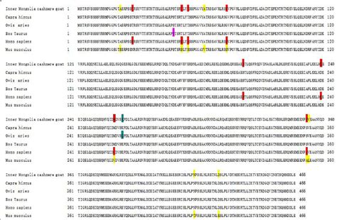 Multiple Sequence Alignment Of Vimentin The Amino Acid Sequences Of