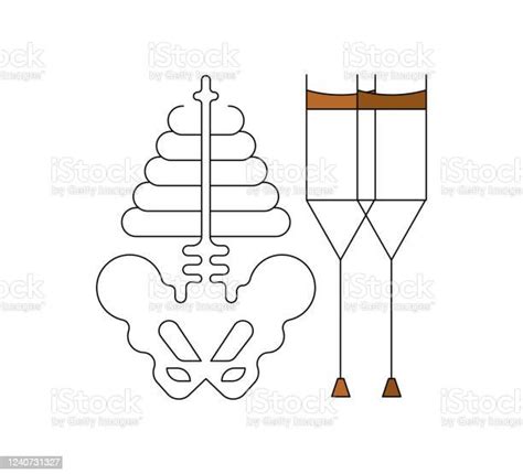 의료 및 의료 아이콘 0명에 대한 스톡 벡터 아트 및 기타 이미지 0명 골다공증 과학 Istock