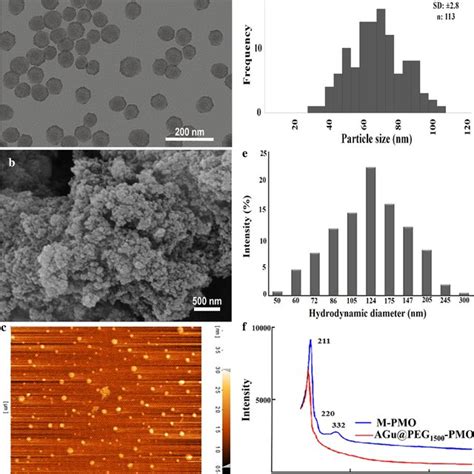 A Tem B Sem C Afm D The Particle Size Distribution Histogram Obtained