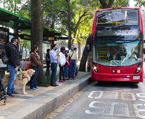 Metrob S Cdmx On Twitter Hoy Es D A Internacional Del Perro Gu A