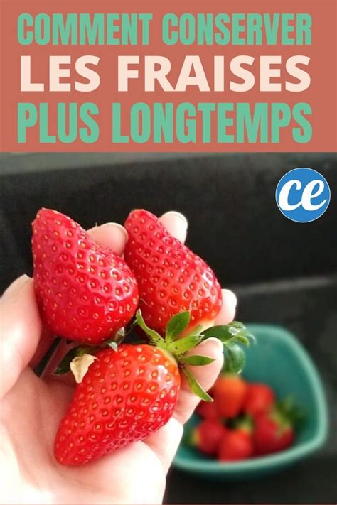 Comment Conserver Les Fraises Pendant Des Semaines Au Frigo Fraise