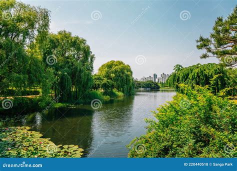 Ilsan Lake Park and Modern Buildings in Goyang, Korea Stock Photo ...