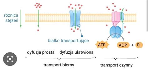 Potrzebuj Pomocy Zadanie Dzi Kuj Brainly Pl