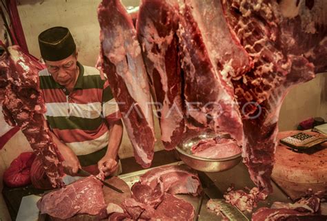 Produksi Daging Sapi Nasional Antara Foto