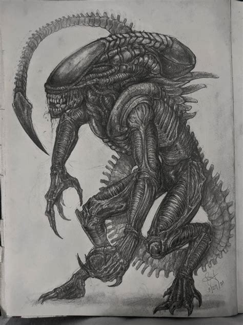 Xenomorph By Eik0w0 On Deviantart