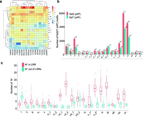 Identification And Characterization Of The Lrr Repeats In Plant Lrr