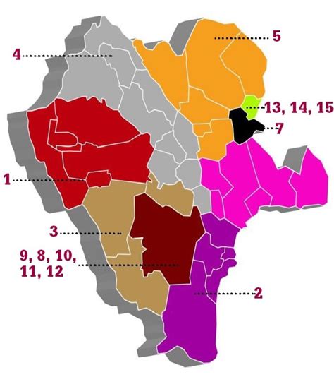 Tres Municipios Concentran Diez Distritos Electorales