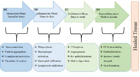 Figure 1 From ELECTROSPUN SODIUM ALGINATE POLY ETHYLENE OXIDE