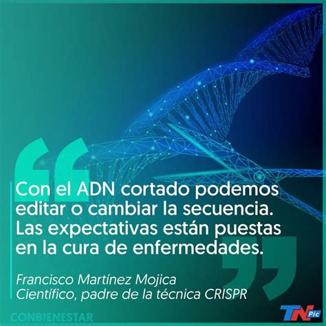 Crispr Qué Son Las “tijeras Genéticas” Que Pueden Revolucionar La Medicina Tn