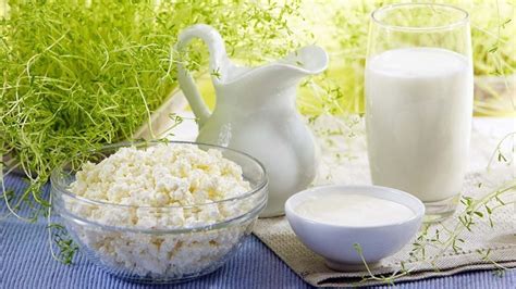 Молочные продукты — стоит их включать в рацион? - Фото Еда