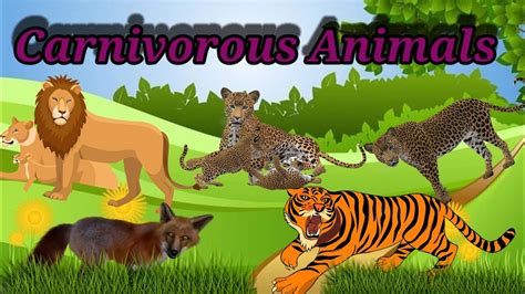 Carnivorous Animals Names And Pictures