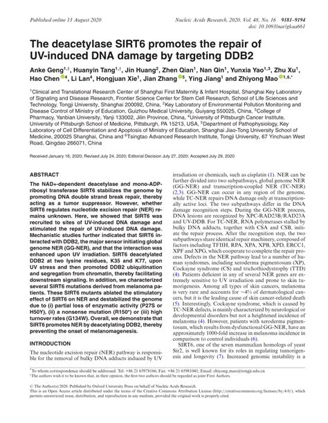 Pdf The Deacetylase Sirt6 Promotes The Repair Of Uv Induced Dna