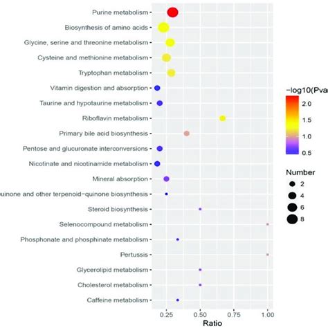 Kegg Enrichment Analysis Of Differential Metabolites Between