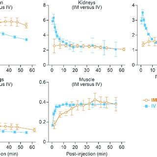 Temporal And Spatial Distribution Of F F Fdg After Im And Iv