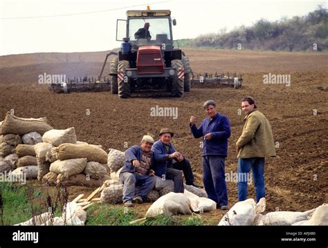 Czech Republic Potatoes Farm Farmer Potato Harvest Stock Photo Alamy