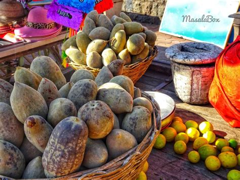 Mandu ki Imli | Famous Tree Of India - The Baobab Tree of India