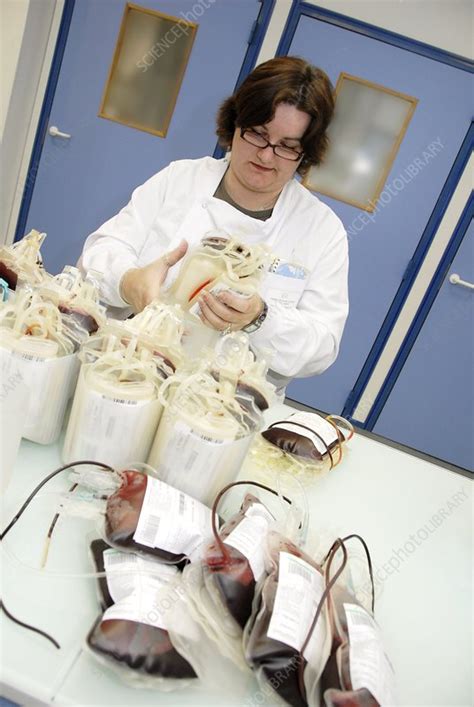 Donor Blood Processing Stock Image C Science Photo Library