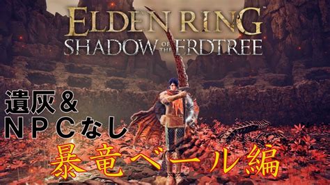 Elden Ring Dlc Npc Youtube