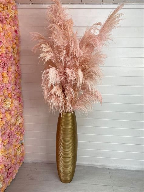 Fluffy Light Pink Pampas Grass For Home Decor Cm Tall Etsy