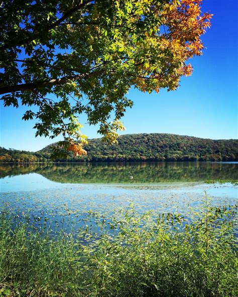 Free Images Landscape Tree Nature Grass Wilderness Meadow