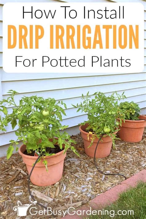 How To Install A Diy Drip Irrigation System For Potted Plants