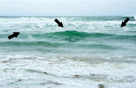 Surf Perch Fishing On The Oregon Coast Beautiful Oregon