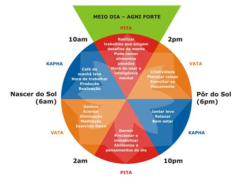 AYURVEDA Ayurveda Yoga Pie Chart Self Massage Daily Routines