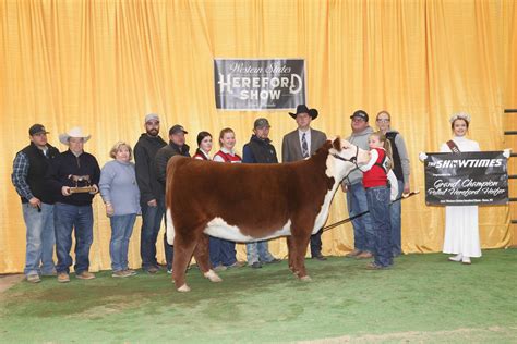 American Hereford National Shows Archives American Hereford Association