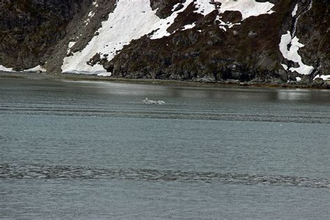 Glacier Bay National Park - Margerie Glacier