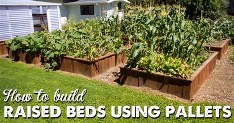 How to Make Raised Garden Beds Out of Pallets – The Prepper Dome