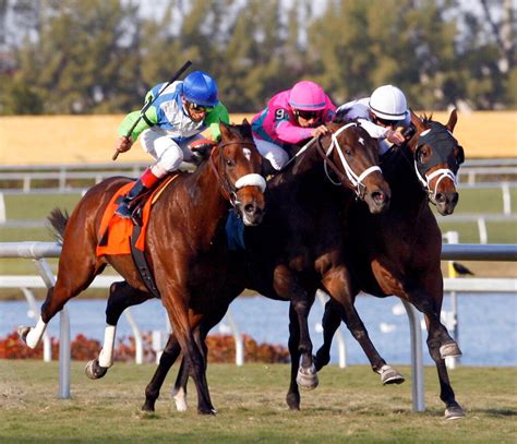 Florida Derby 2023 Field, Odds and Picks for Saturday 4/1/23 | FanDuel ...