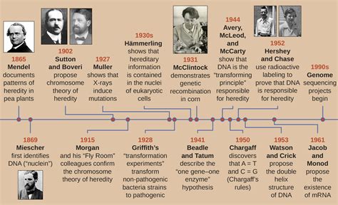 Dna Analysis History Timeline