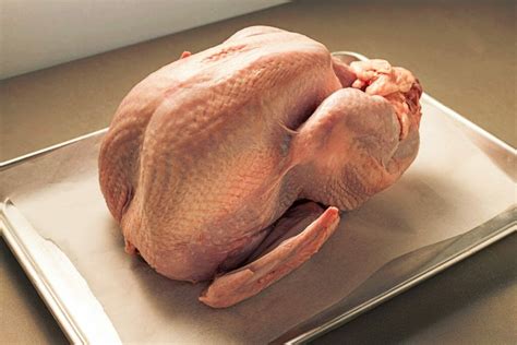 Is Turkey Done At 165 Or 180 Easy Way To Check If Turkey Is Done