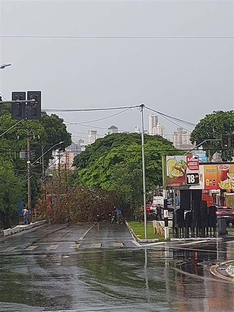 Chuva Alaga Ruas E Derruba árvores Em Goiânia Tribuna Do Planalto