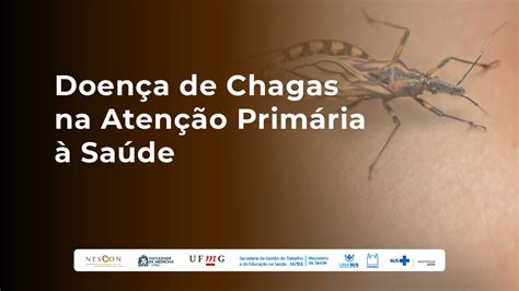 Nescon Lan A Curso Sobre Doen A De Chagas Na Aten O Prim Ria