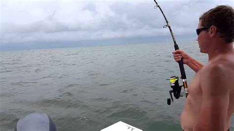 Cobia Fishing Kiptopeke Va Youtube