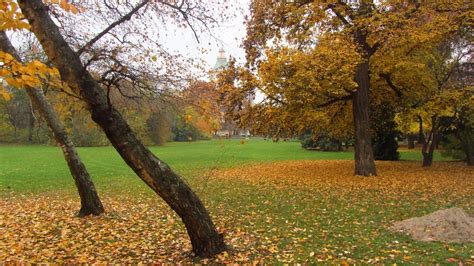 10 Most Beautiful Parks In Budapest According To A Local Wanderwisdom