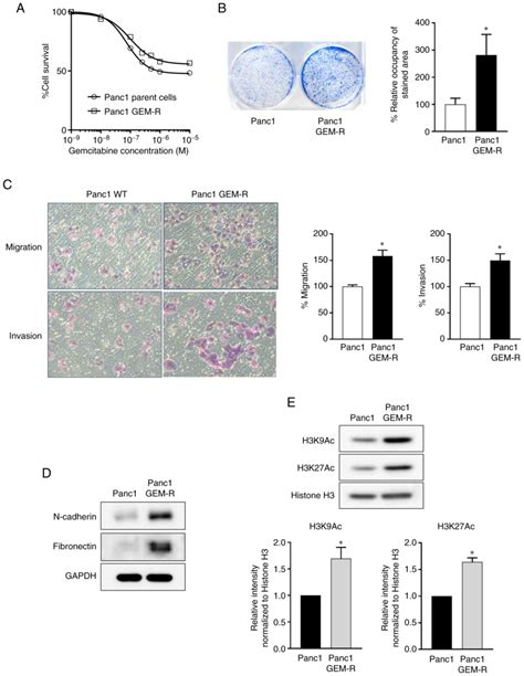 RRM1 Is Mediated By Histone Acetylation Through Gemcitabine Resistance