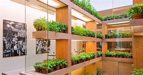 How To Create An Indoor Vegetable Garden - Topsygardening