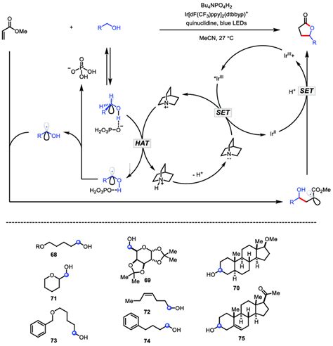 Synthesis Of Butyrolactones Via The Alcohol Selective C H Activation