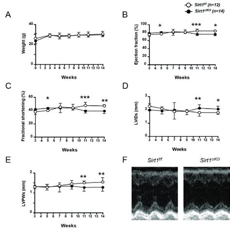 Cardiac Phenotype Of Cardiac Specific Knockout Mice After 8 Weeks Of