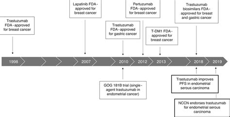 HER2 Testing and Reporting in Endometrial Serous Carcinoma ...