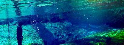 Naked Spring High Springs Florida Florida Springs