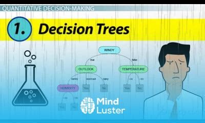 Quantitative Methods For Business Decision Making Tutorial Mind Luster