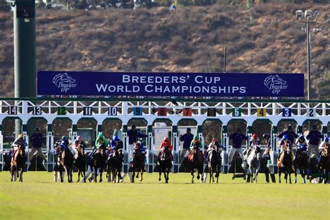 Breeders Cup 2024 Odds Pavia Beverlee