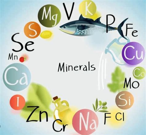 Vitamins and Minerals Deficiency Diseases