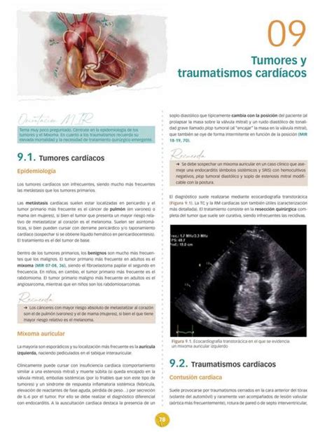 Tumores Y Traumatismos Card Acos Full Ciencia Udocz