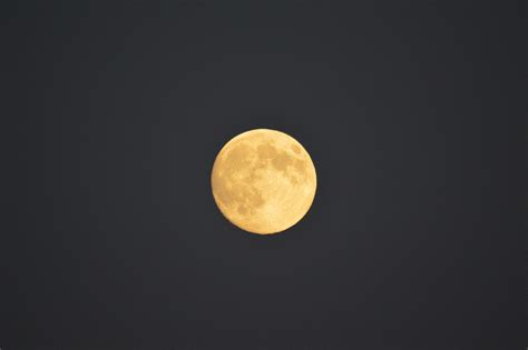 Full Moon Free Stock Photo Public Domain Pictures