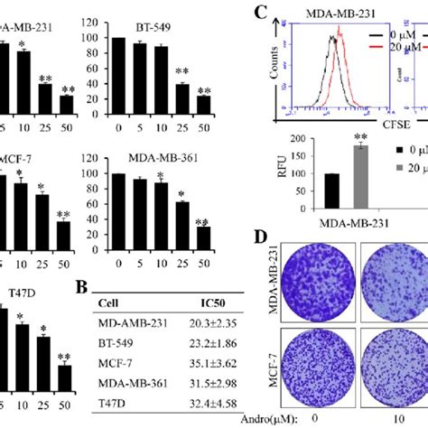 Effect Of Andro On Cell Proliferation In Human Breast Cancer Cells A Download Scientific