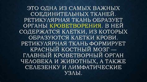 РЕТИКУЛЯРНАЯ ТКАНЬ ЭТО ОДНА ИЗ САМЫХ ВАЖНЫХ